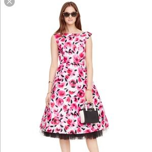 Rosebud Fit and Flare